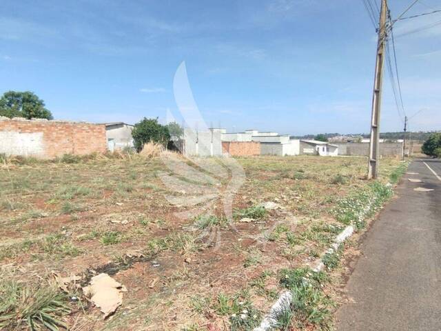 Terreno para Venda em Senador Canedo - 4